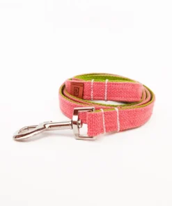 Trela Retro Rainbow Rosa/Verde